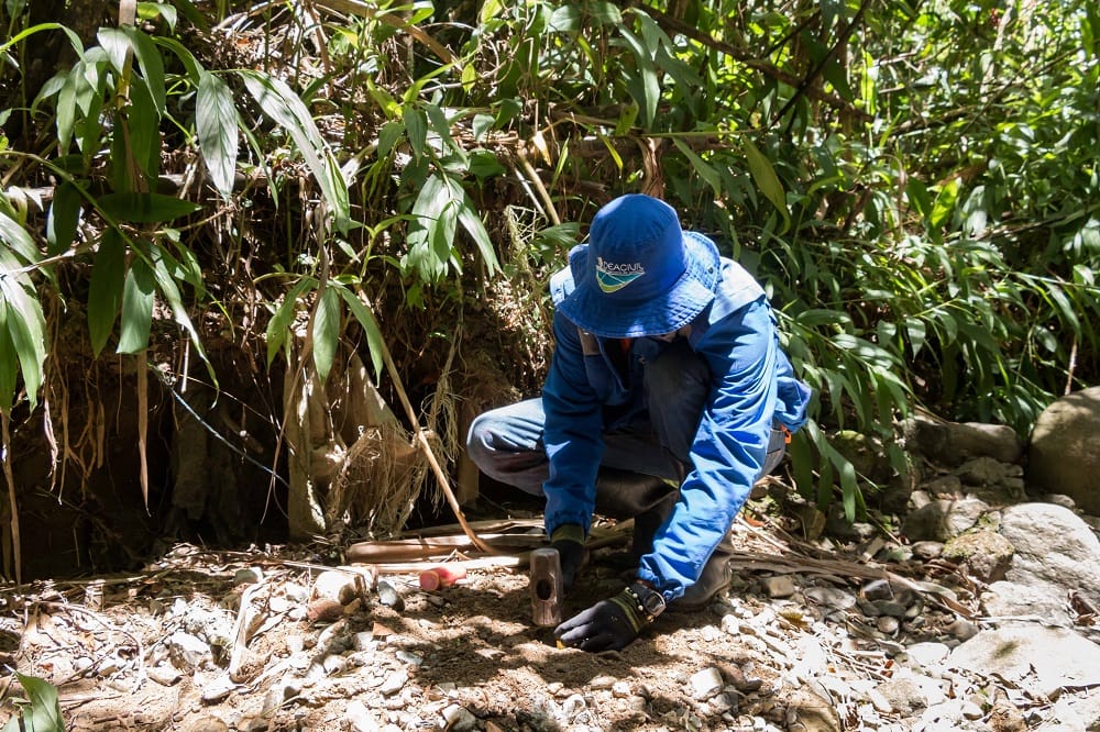 Servicios 6 Estudios